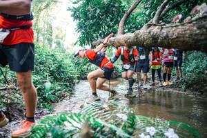 BIB: 
                            <button type="button" onclick="openModal(25469368)" class="btn btn-primary btn-sm float-right btn-popup" data-toggle="modal" data-target=".modal-high-quality">
                        <i class="fas fa-shopping-cart"></i> Add to Cart
                    </button>
                                            <button type="button" onclick="isThisMe(25469368, true)" class="btn btn-success btn-sm float-right btn-popup btn-isme hidden" data-toggle="tooltip" data-placement="bottom" title="นี่คือรูปของคุณใช่ไหม คลิกที่นี่เพื่อเอาเข้าอัลบั้ม">
                        <i class="fas fa-plus"></i> Add to album
                    </button>
                    <button type="button" onclick="isThisMe(25469368, false)" class="btn btn-warning btn-sm float-right btn-popup btn-isnotme hidden">
                        <i class="fas fa-ban"></i> Remove from album
                    </button>